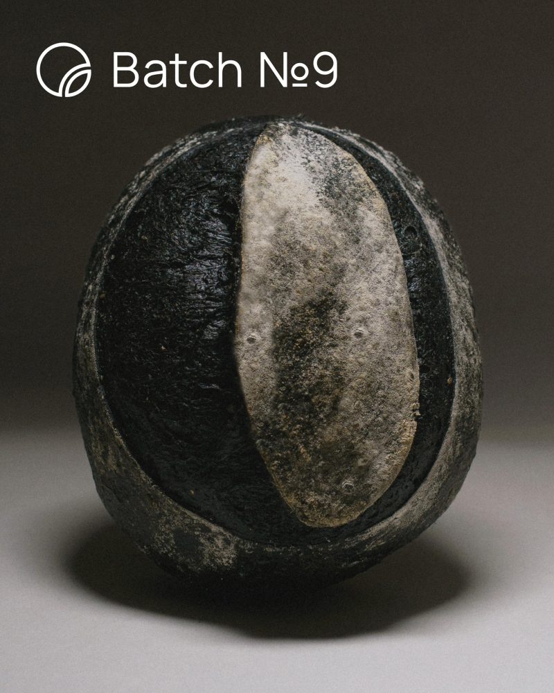 Чорний хліб з кунжутом і вугільною пудрою