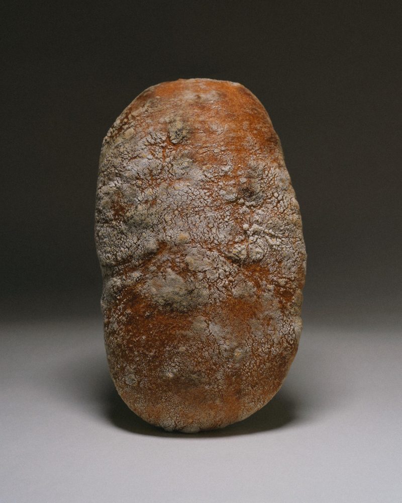 Чіабата з копченою паприкою та оливками