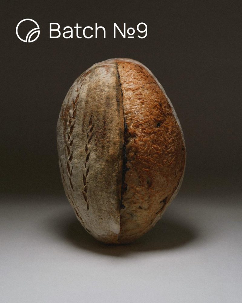 Горіховий тартін з пеканом та журавлиною